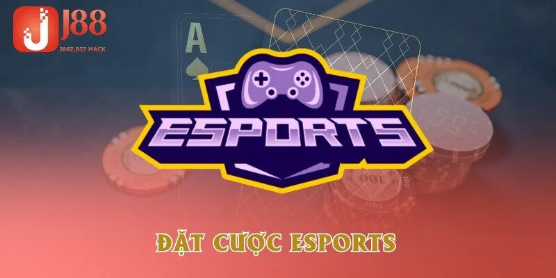 dat-cuoc-esports